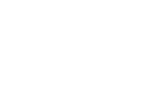 Nitsch-engineering
