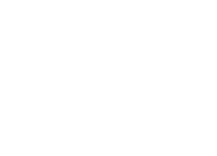 Programmed logo
