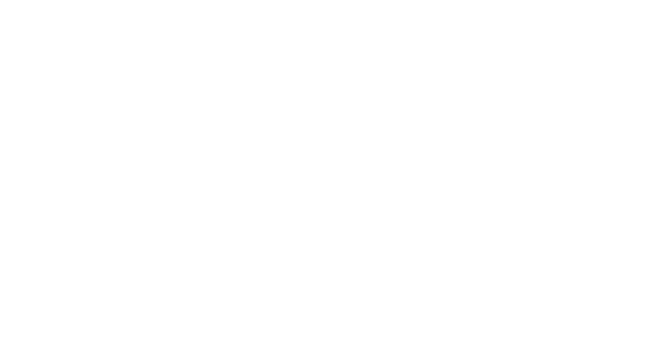 bedshed-1